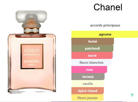 CHANEL coco mademoiselle eau de parfum