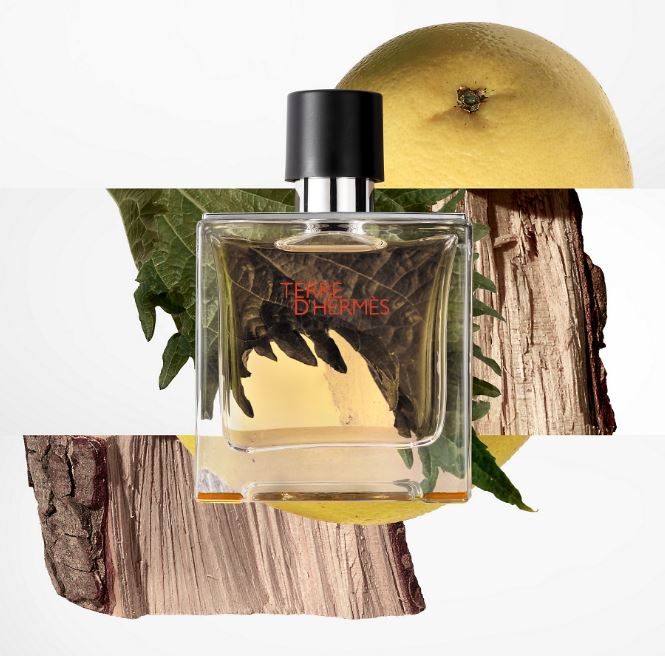 TERRE D'HERMES PURE PARFUM